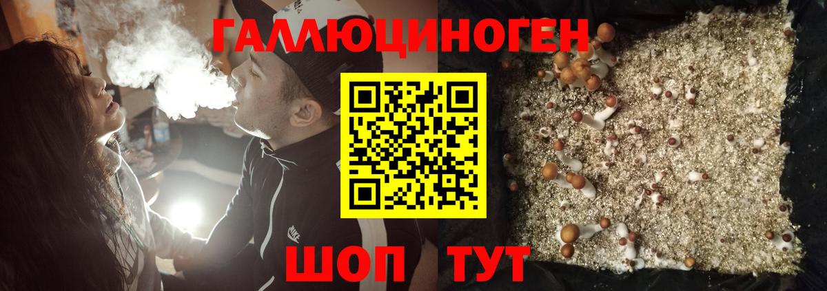 Галлюциногенные грибы ЛСД Светлоград