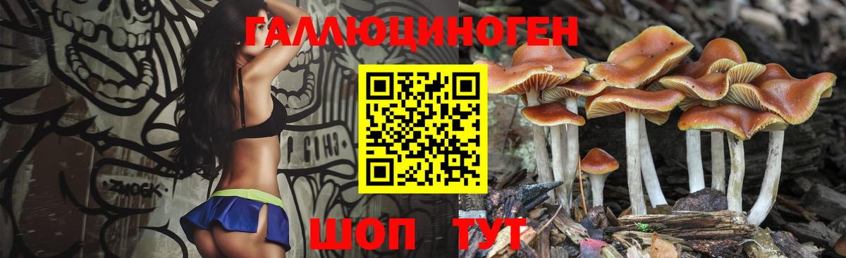 Светлоград  Галлюциногенные грибы Psilocybine cubensis  закладки  Вход с VPN 